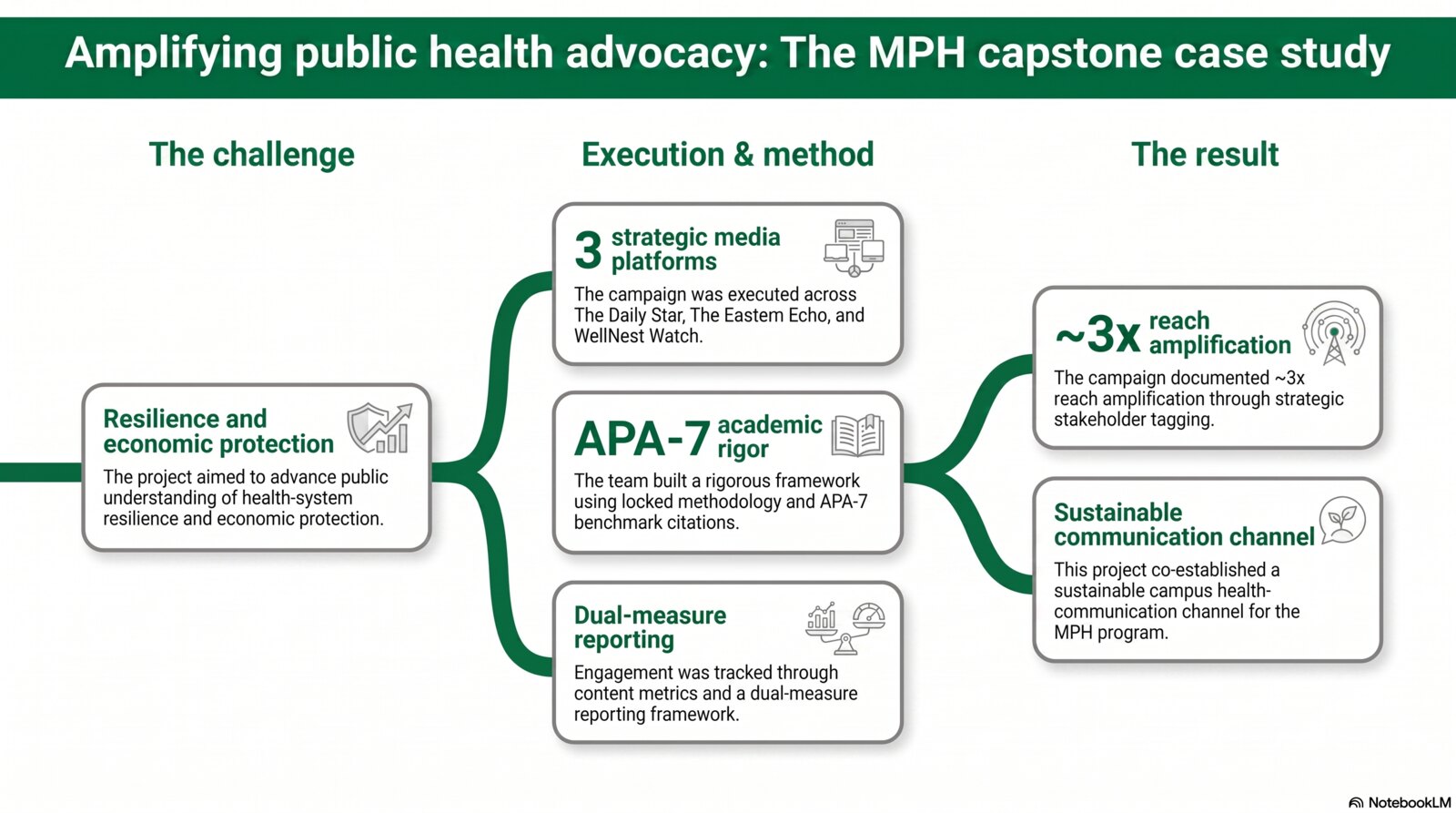 MPH Capstone — a multi-platform public-health advocacy campaign strategy infographic